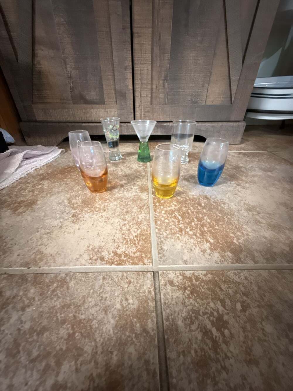 Carnival Cruise Line Souvenir Stemless Shot Glasses Set